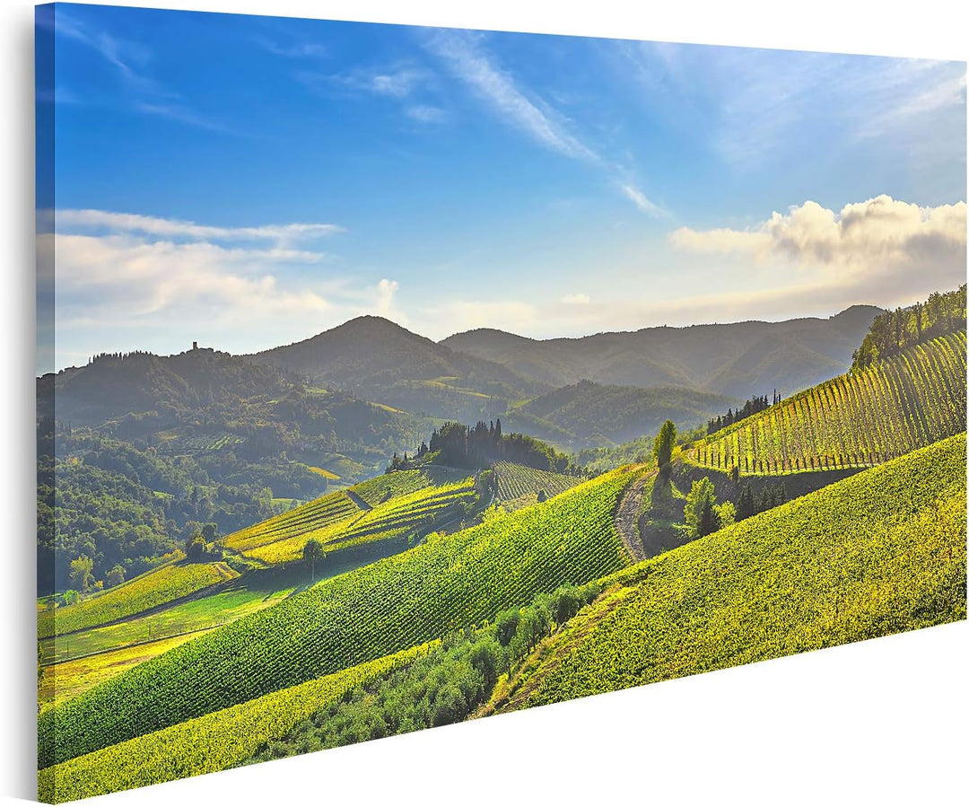 islandburner Bild auf Leinwand Radda Chianti Weinberg Panorama Sonnenuntergang Toskana Italien Herbs