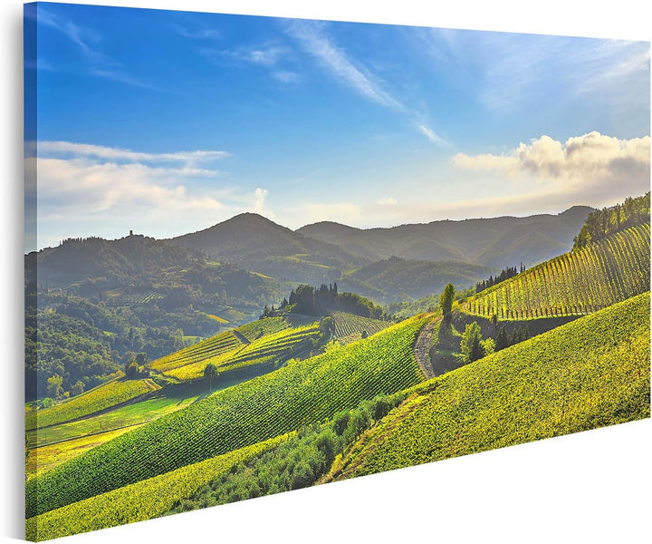 islandburner Bild auf Leinwand Radda Chianti Weinberg Panorama Sonnenuntergang Toskana Italien Herbs