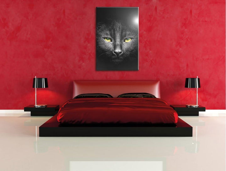 Pixxprint Katzenkopf mit düsterem Hintergrund als Leinwandbild/Grösse: 100x70 cm/Wandbild/Kunstdruck