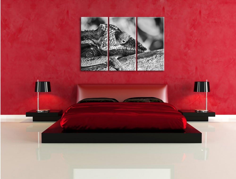 Pixxprint Chamäleon aus Madagaskar Kunst B&W 3-Teiler Leinwandbild 120x80 Bild auf Leinwand