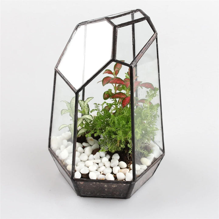 NCYP 10x12,5x19cm Handgefertigtes unregelmässiges Prisma-Glas geometrische Terrarienbox, für Tischpl