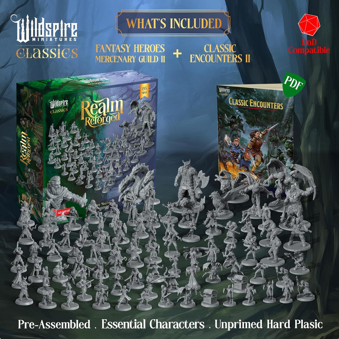 The Realm Set - Grey Version - 195 Minis - Heroes, Monsters, NPC for DND Miniatures Bulk I 28mm Dung
