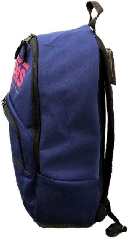 VANS Rucksack MOTIVATEE 2 Laptop Reise Uni Schule Arbeit Blau Pink