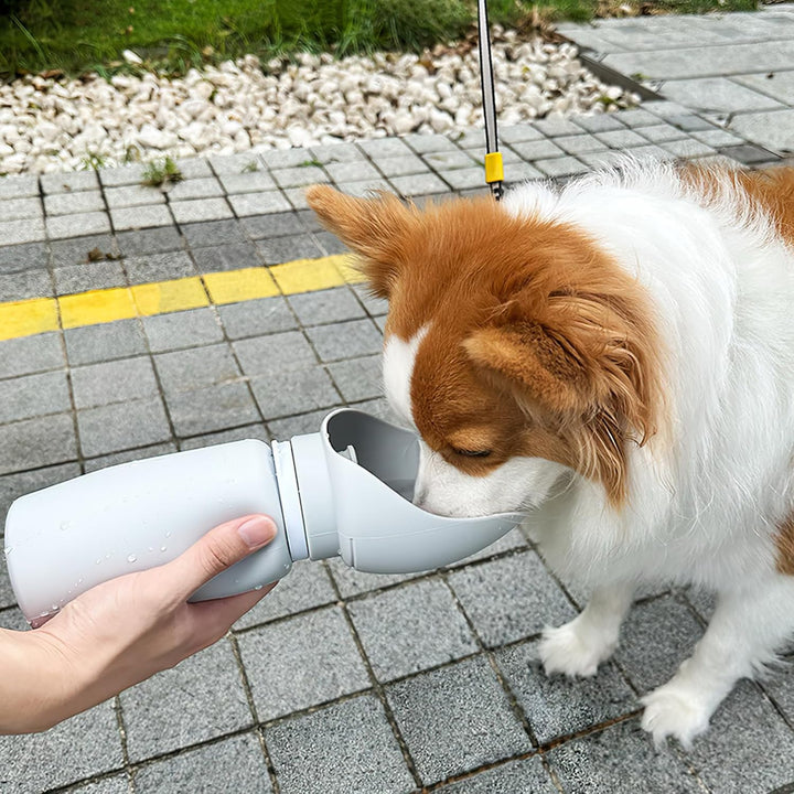 Tragbare Hunde Trinkflasche mit Ausgiesser, 550ml Silikon