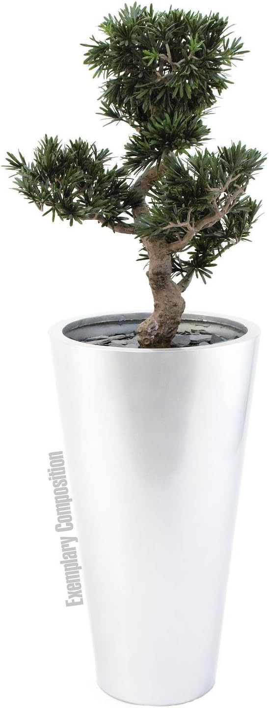 Euro Palms Wohnaccessoires & Deko, Grün