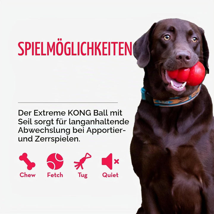 KONG Extreme Ball mit Seil Large 1 Stück (1er Pack), 1 Stück (1er Pack)