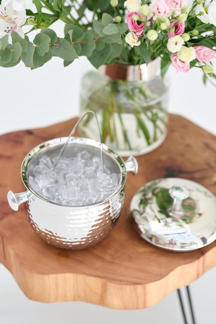 EDZARD Eiseimer Rico (Höhe 21 cm) mit Deckel, Edelstahl gehämmert hochglanzpoliert