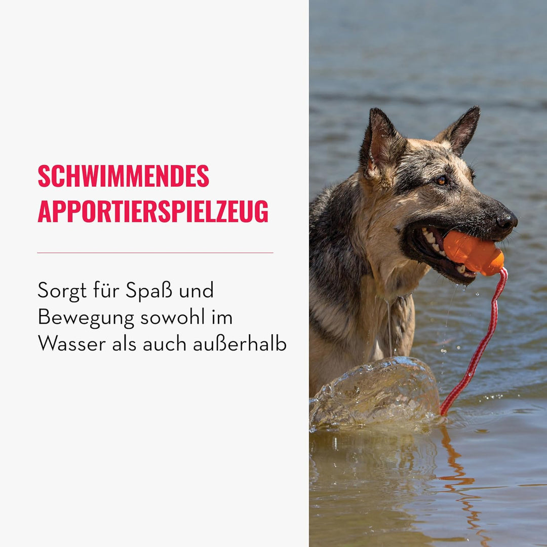 KONG Aqua Floating Fetch Toy - Hundespielzeug Für Wasser, Spiel und Training - Mit Schaumstoff-Innen