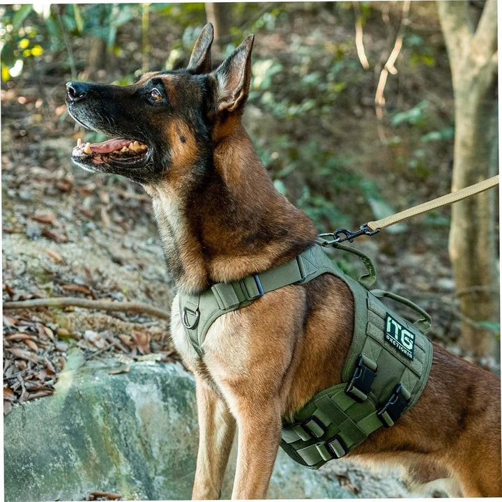 OneTigris Hundegeschirr, Gladiator Einstellbar Sicherheitsgeschirr für Grosse Mittlere Hunde No Pull