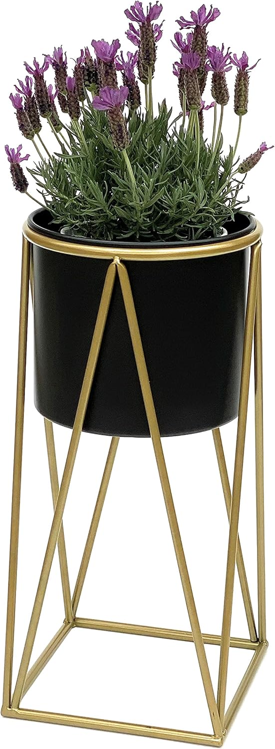 DanDiBo Blumenhocker mit Topf Metall Gold Schwarz S 47 cm Blumenständer 96046 Blumensäule Modern Pfl