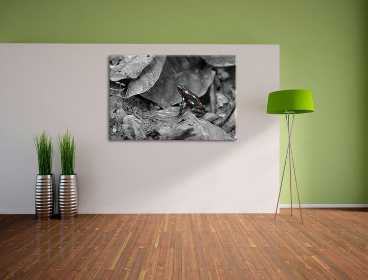 kleiner schwarzer Baumsteigerfrosch schwarz/weiss auf Leinwand, XXL riesige Bilder fertig gerahmt mi