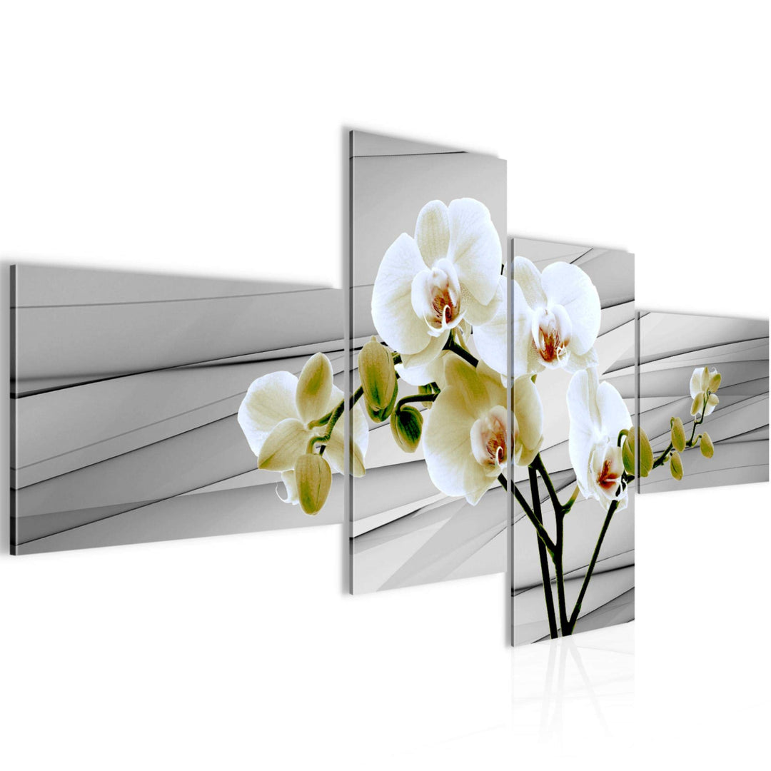 Runa Art Bild Modern Blumen Orchidee - Made in Germany - Wandbilder Abstrakt Grau Beige 4 Teilig 202