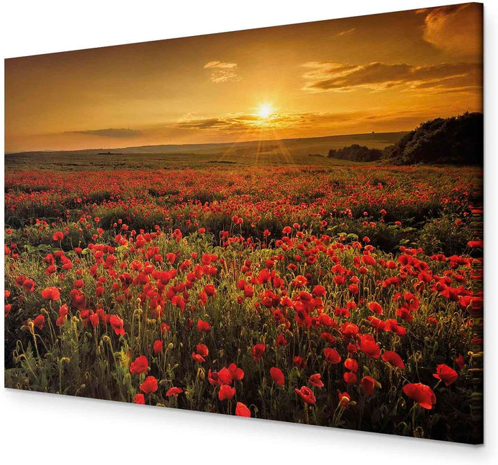 murando - Bilder Mohblumen Feld 120x80 cm Leinwandbild 1 tlg Kunstdruck modern Wandbilder XXL Wandde