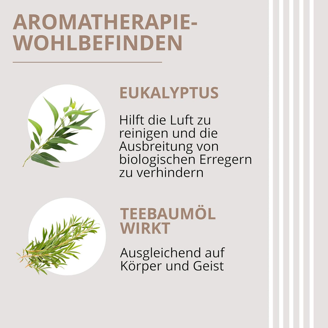 Luftentfeuchter mit Haken basierend auf hydrophilen Kristallen 6 * 500ml Ariapura Aromatherapie, Kon