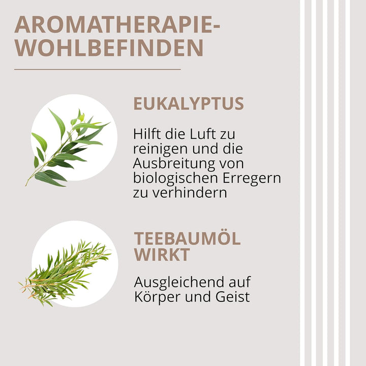 Luftentfeuchter mit Haken basierend auf hydrophilen Kristallen 6 * 500ml Ariapura Aromatherapie, Kon