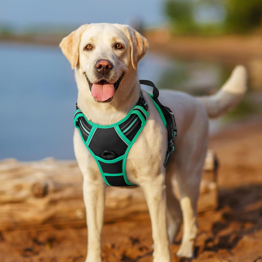 rabbitgoo Hundegeschirr Mittelgrosse Hunde, Anti Zug Geschirr mit Kontrolle, No Pull Verstellbar Hun