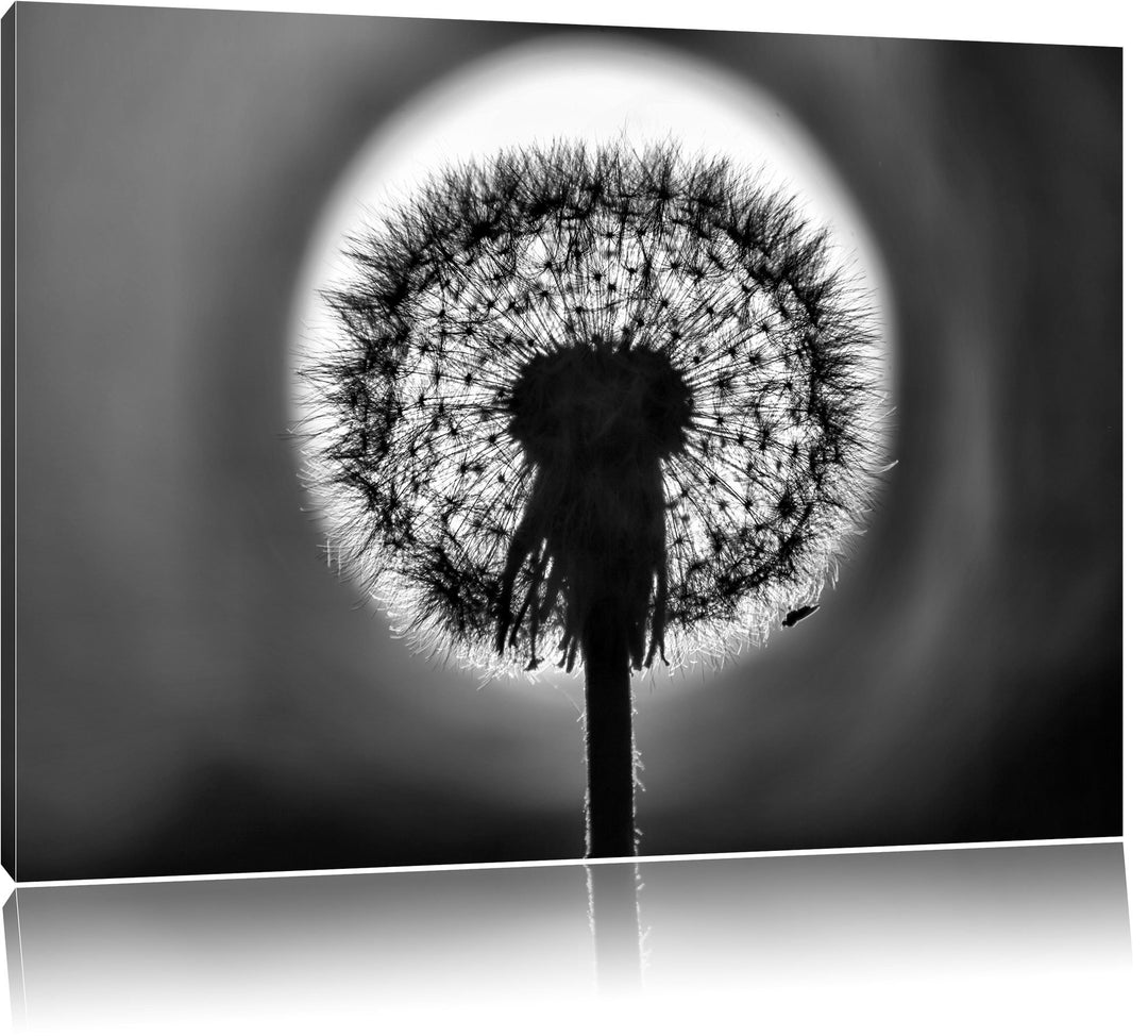 Pixxprint Pusteblume / 100x70cm Leinwandbild bespannt auf Holzrahmen/Wandbild Kunstdruck Dekoration,