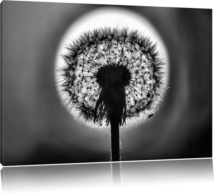 Pixxprint Pusteblume / 100x70cm Leinwandbild bespannt auf Holzrahmen/Wandbild Kunstdruck Dekoration,