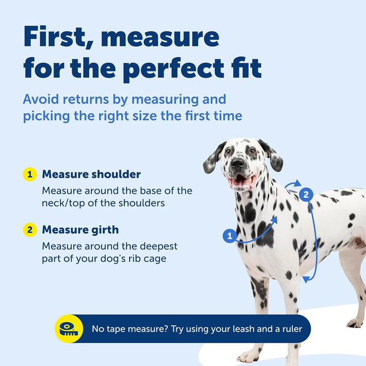 PetSafe 3-in-1-Geschirr mit Zweipunkt-Kontrollleine – kein Ziehen – Grösse L – Schwarz – verstellbar