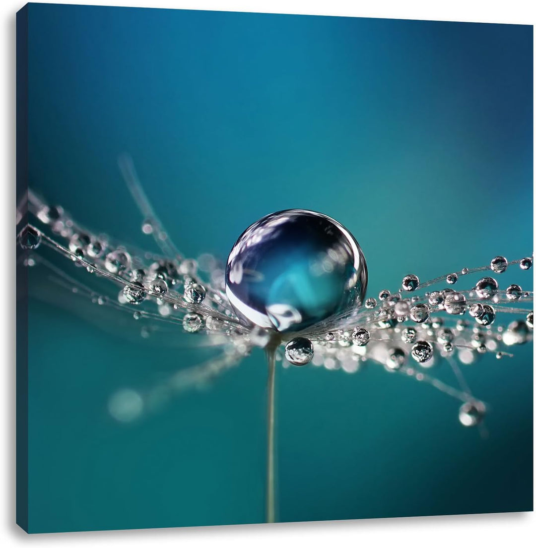 Pixxprint Wassertropfen auf Einer Pusteblume als Leinwandbild/Grösse: 70x70 cm/Wandbild/Kunstdruck/f