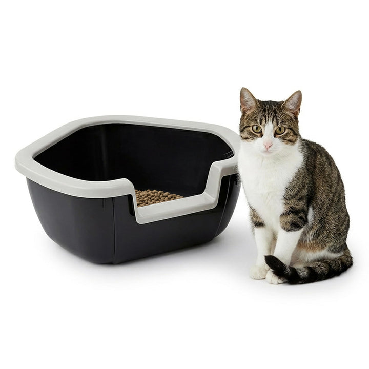 Ferplast Ecktoilette für Katzen offene Katzentoilette DAMA Eckkatzentoilette, widerstandsfähiger Kun