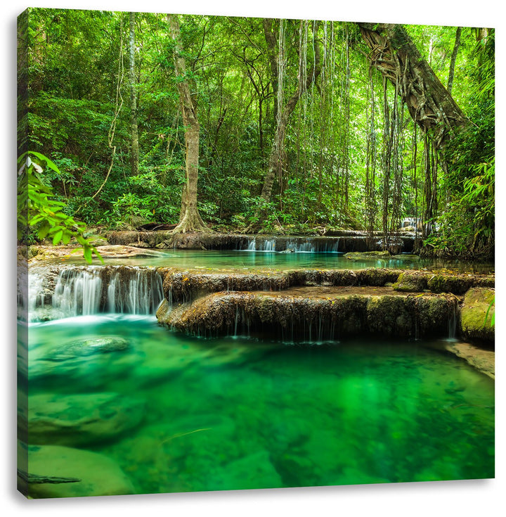 Tropischer Fluss, Format: 70x70 auf Leinwand, XXL riesige Bilder fertig gerahmt mit Keilrahmen, Kuns