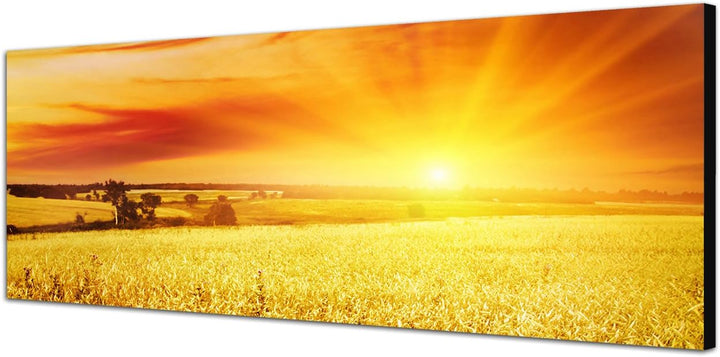 Paul Sinus Art Panoramabild auf Leinwand und Keilrahmen 120x40cm Kornfeld Sonnenuntergang Landschaft