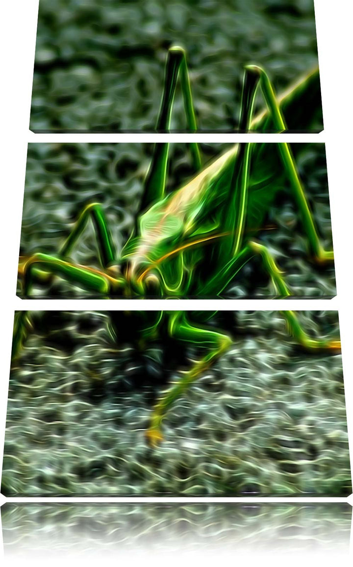 freche kleine Heuschrecke NewArt 3-Teiler Leinwandbild 120x80 Bild auf Leinwand, XXL riesige Bilder