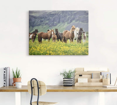 ARTland Leinwandbilder Wandbild Bild auf Leinwand 80x60 cm Wanddeko Pferd Wildpferde Herde Isländer