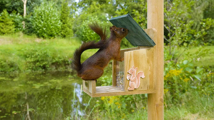 dobar® 22219e Eichhörnchenfutterstation - Eichhörnchen Futterhaus Massivholz - Futterbox zum Eichhör