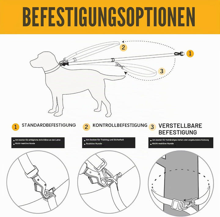 Carhartt Hunde Leine Tradesman, Schwarz, L, P000346822 Schwarz/Messing gebürstet L, Schwarz/Messing