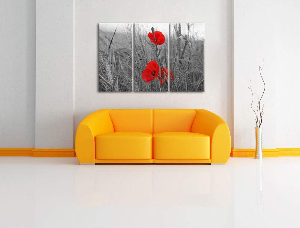 einzelne Mohnblumen im Getreidefeld schwarz/weiss 3-Teiler Leinwandbild 120x80 Bild auf Leinwand, XX