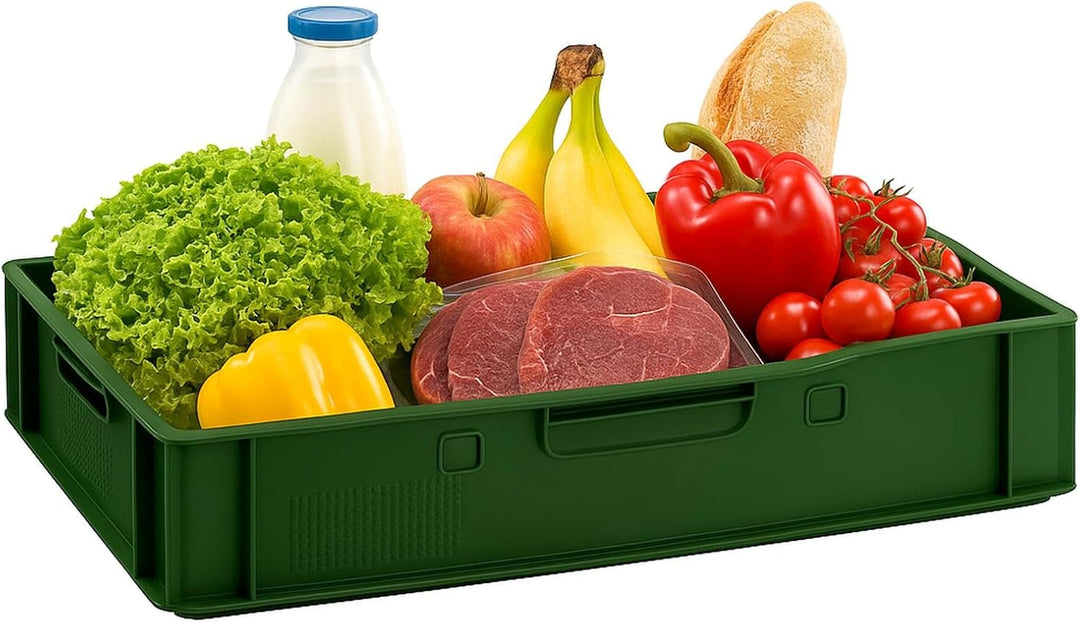 BURI 10 Stück Fleischkiste E1 Lagerkiste 60x40x12,5 cm Metzgerkiste Eurobox Dunkelgrün - flache Stap