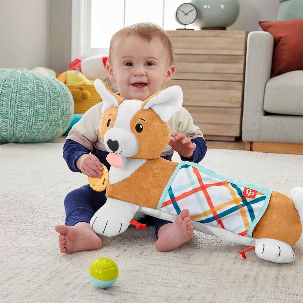 Fisher-Price HJW10 - Baby-Spielzeug zum Spielen in der Bauchlage, 3-in-1 Hündchen Spielkissen mit BP