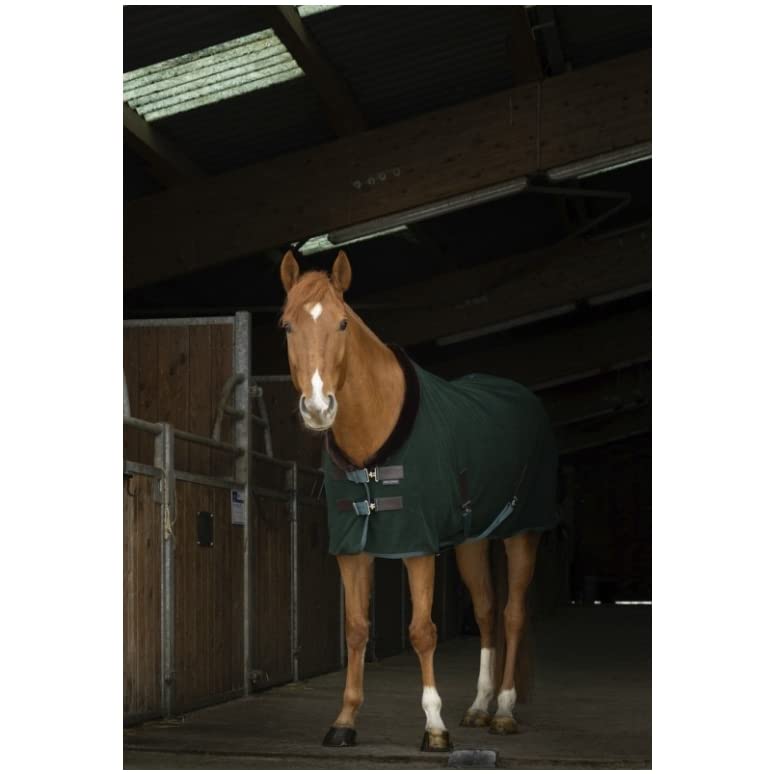 Stalldecke mit Polarfleece Teddy EquiTheme Marineblau 150cm, 150