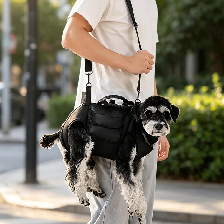 Der Hundetrage-Rucksack Verstellbarer Rucksack Inklusive 1,5 M Zugleine | Transporttasche Für Outdoo