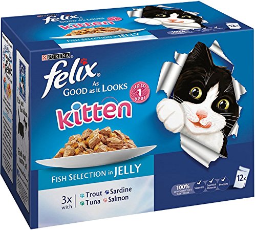 Felix Good As It Looks Kitten Fish Selection in Jelly 12 x 100 g (4 Stück), 4800 g 4 12 x 100g, 4 12