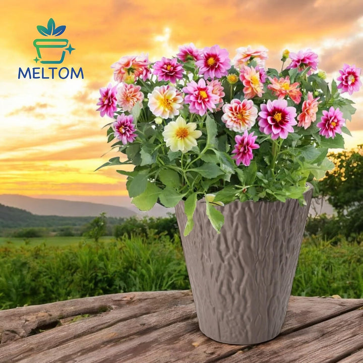 MELTOM Blumenkübel Blumentopf Rund Slim Pflanzkübel mit Herausnehmbaren Einsatz DEKORATIV (Braun, L)