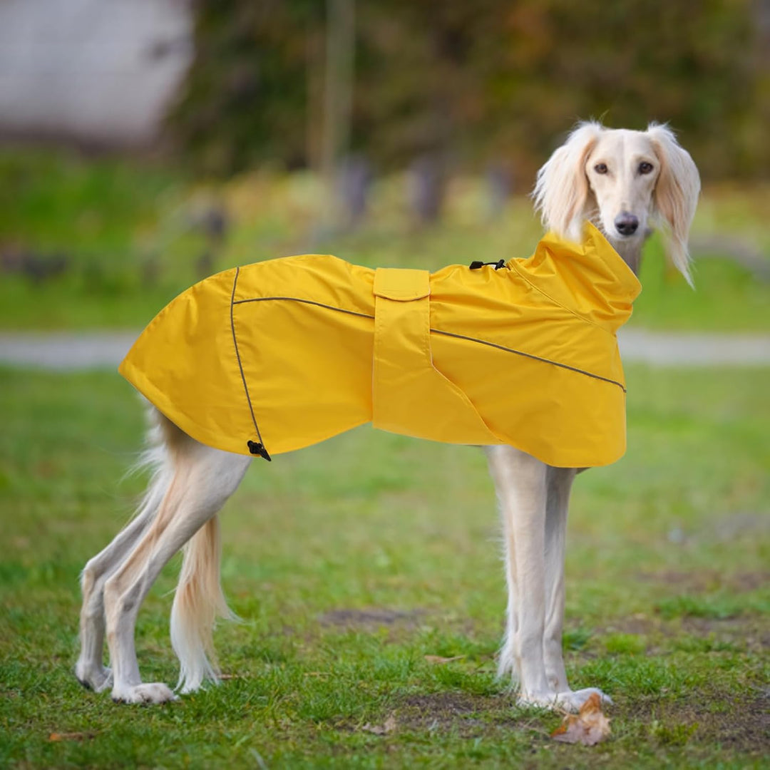 MOREZI Windhund-Regenmantel, regenfest/wasserdicht, hoher Bund mit verstellbarem Kordelzug und Hüftg