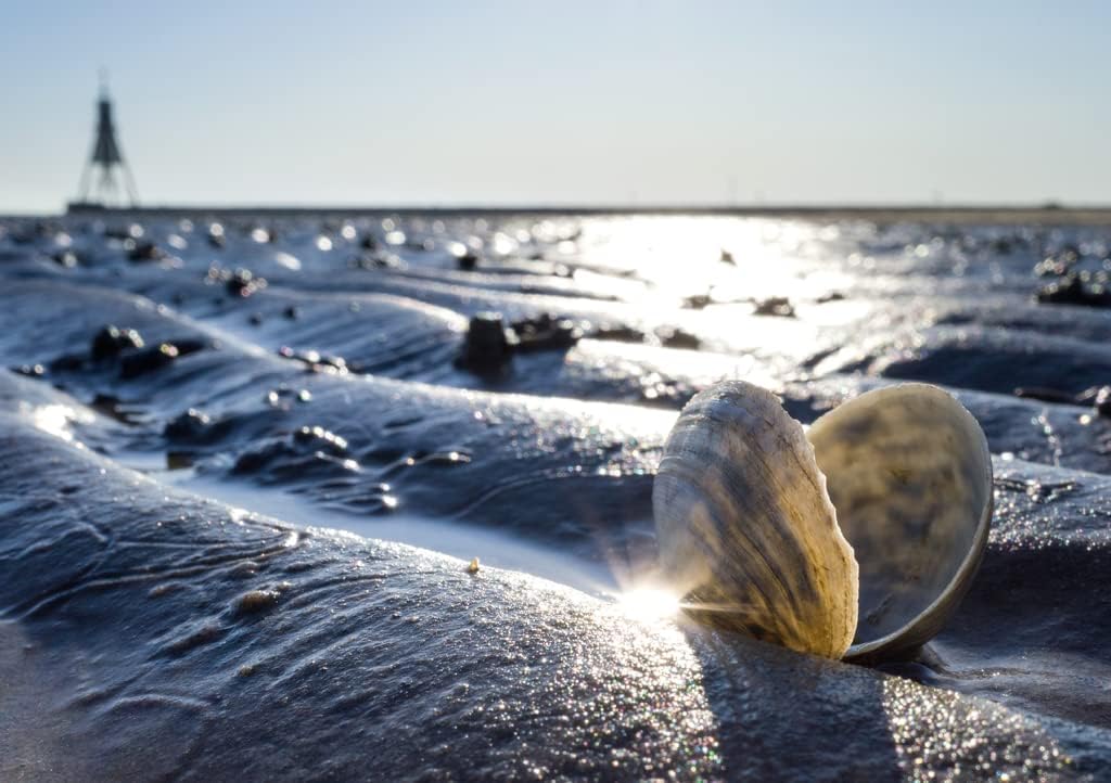 Lais Puzzle Sandschneise im Wattenmeer in Cuxhaven mit der Kugelbake, einem historischen Hilfsmittel
