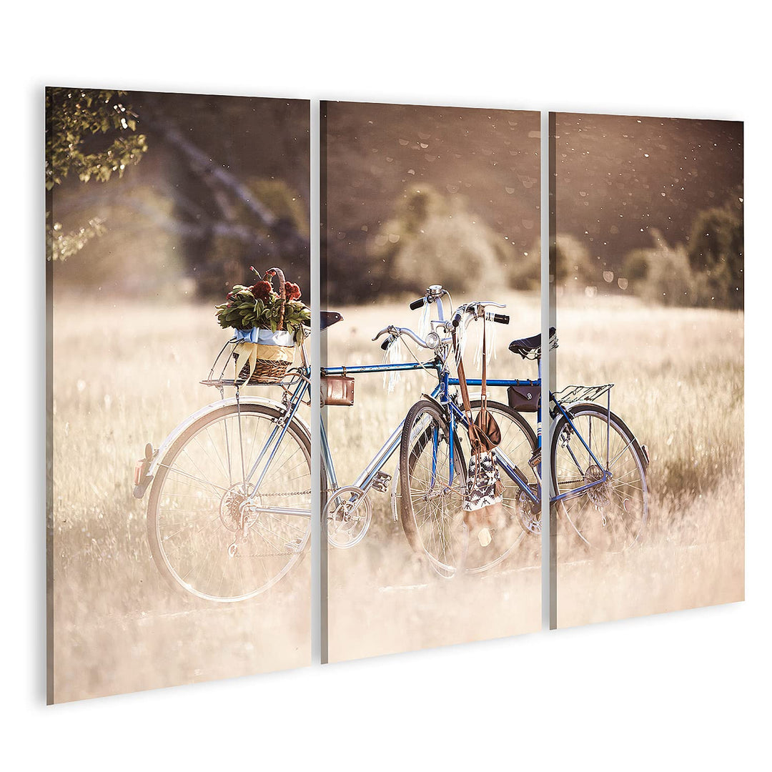 islandburner Bild auf Leinwand Zwei Fahrräder Im Feld Mit Blumenkorb Bei Sonnenuntergang Bilder Wand