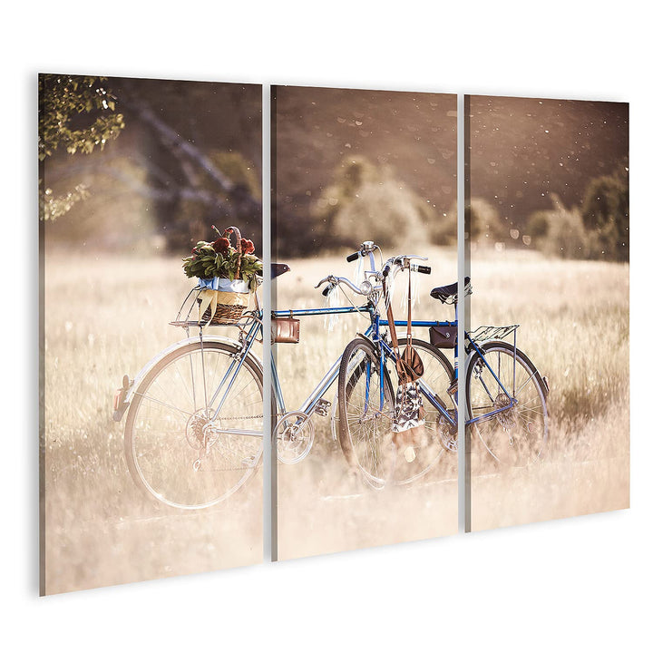 islandburner Bild auf Leinwand Zwei Fahrräder Im Feld Mit Blumenkorb Bei Sonnenuntergang Bilder Wand