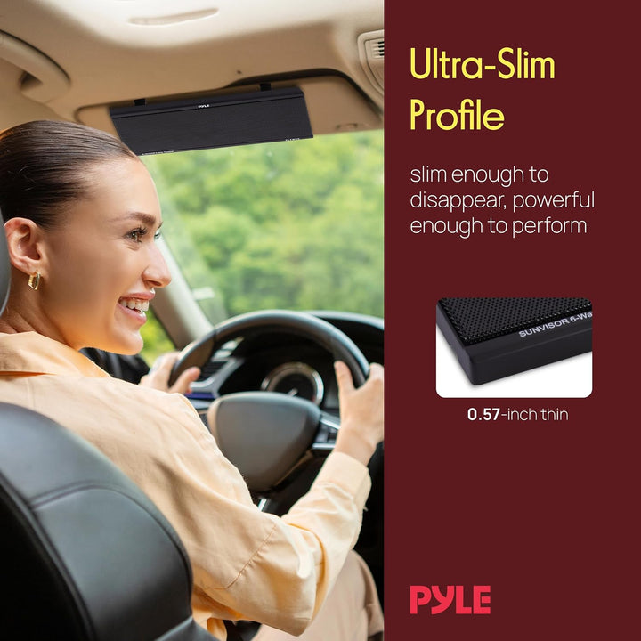 PYLE PLTWVS 6 Wege, 200 W Sunvisor Halterung Car Audio System Hochtöner