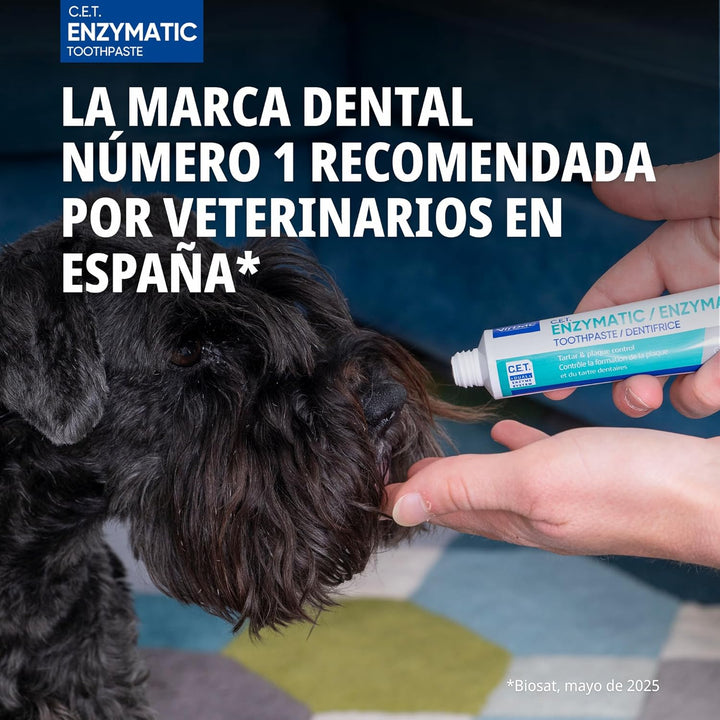 CET KIT CEPILLO + DENTIFRICO ENZIMATICO 70GR