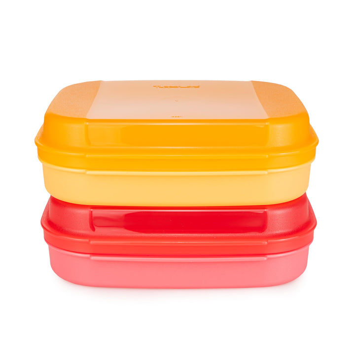 Tupperware Naschkätzchen 1,1 L orange + 1,1 L rot Bellevue Vorratshaltung Vorrat Apollo Brotdose Kek