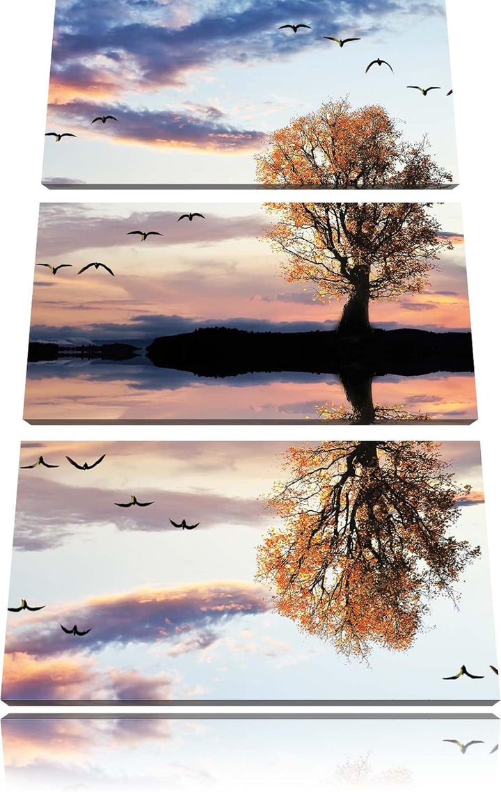 Pixxprint Baum spiegelt Sich im Wasser als Leinwandbild/Grösse: 3 Teilig (120x80) cm/Wandbild/Kunstd
