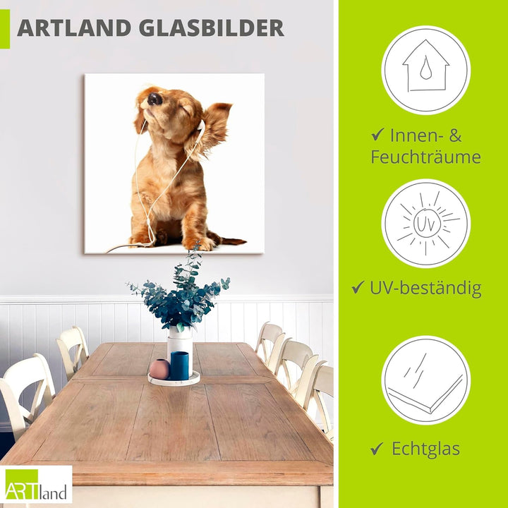 ARTland Glasbilder Wandbild Glas Bild einteilig 50x50 cm Quadratisch Hund Tiere Musik Dackel Welpen