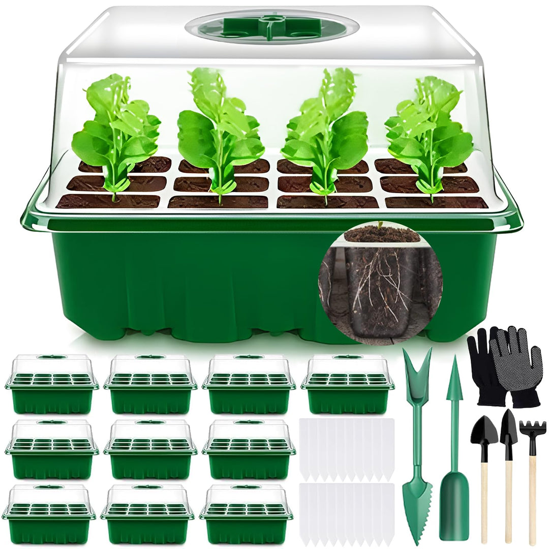 Zimmergewächshaus Anzuchtkasten, 10 Stück 120 Zellen Mini Gewächshaus Anzucht Set mit 2 Gartengeräte