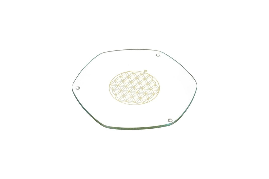 Energy Plate 22 cm