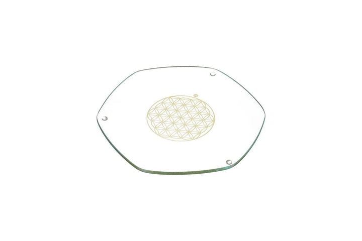 Energy Plate 22 cm